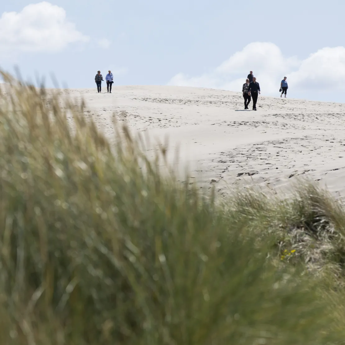 Råbjerg Mile med besøgende