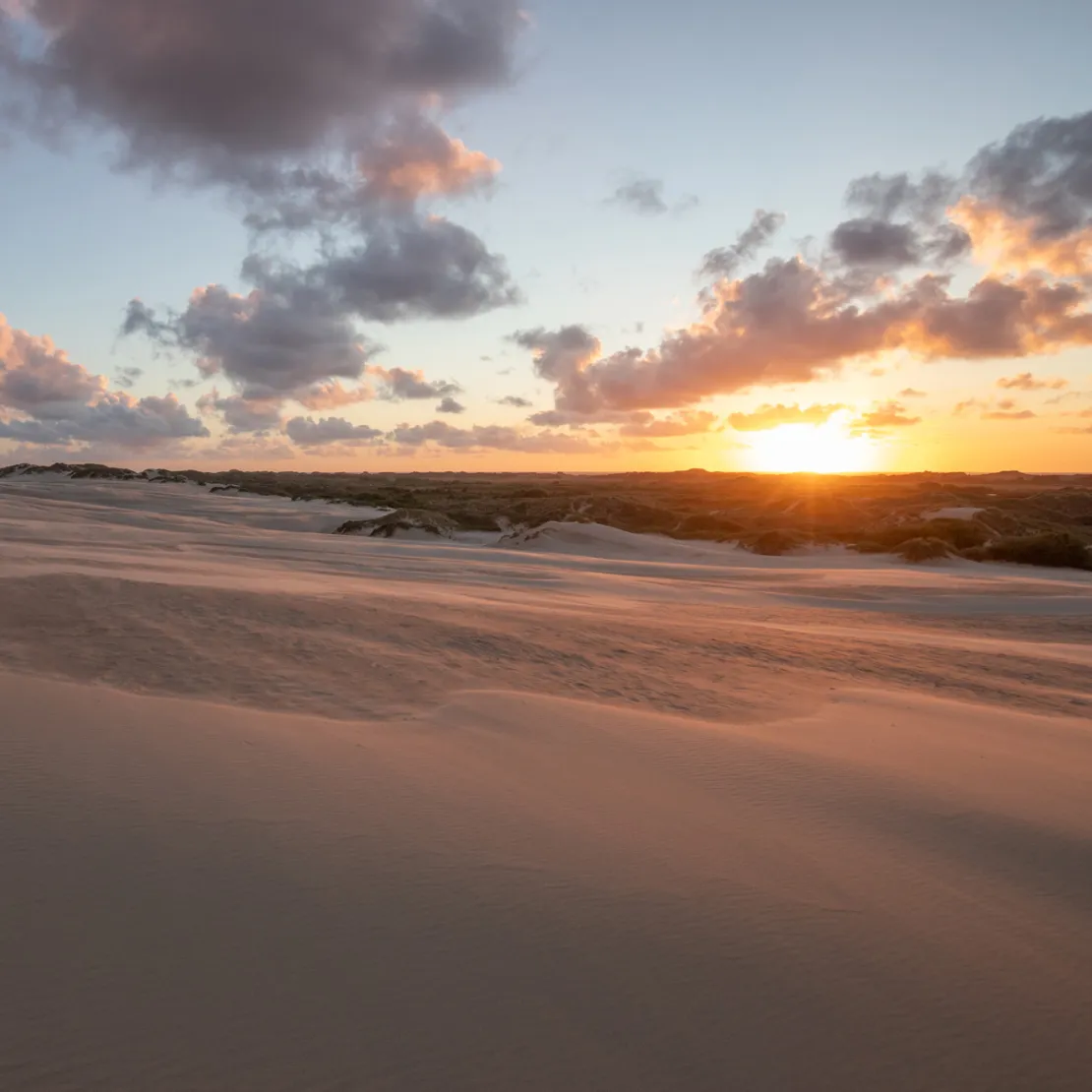 Råbjerg Mile med solnedgang