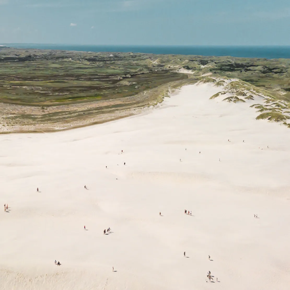 Droneudsigt over Råbjerg Mile