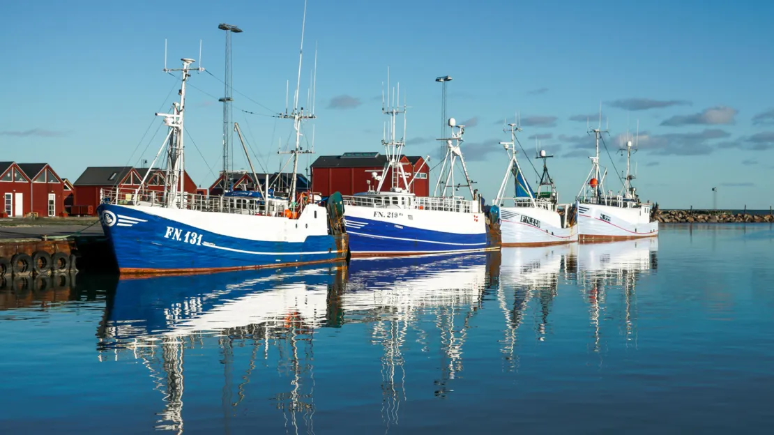 Strandby Havn i klart vejr