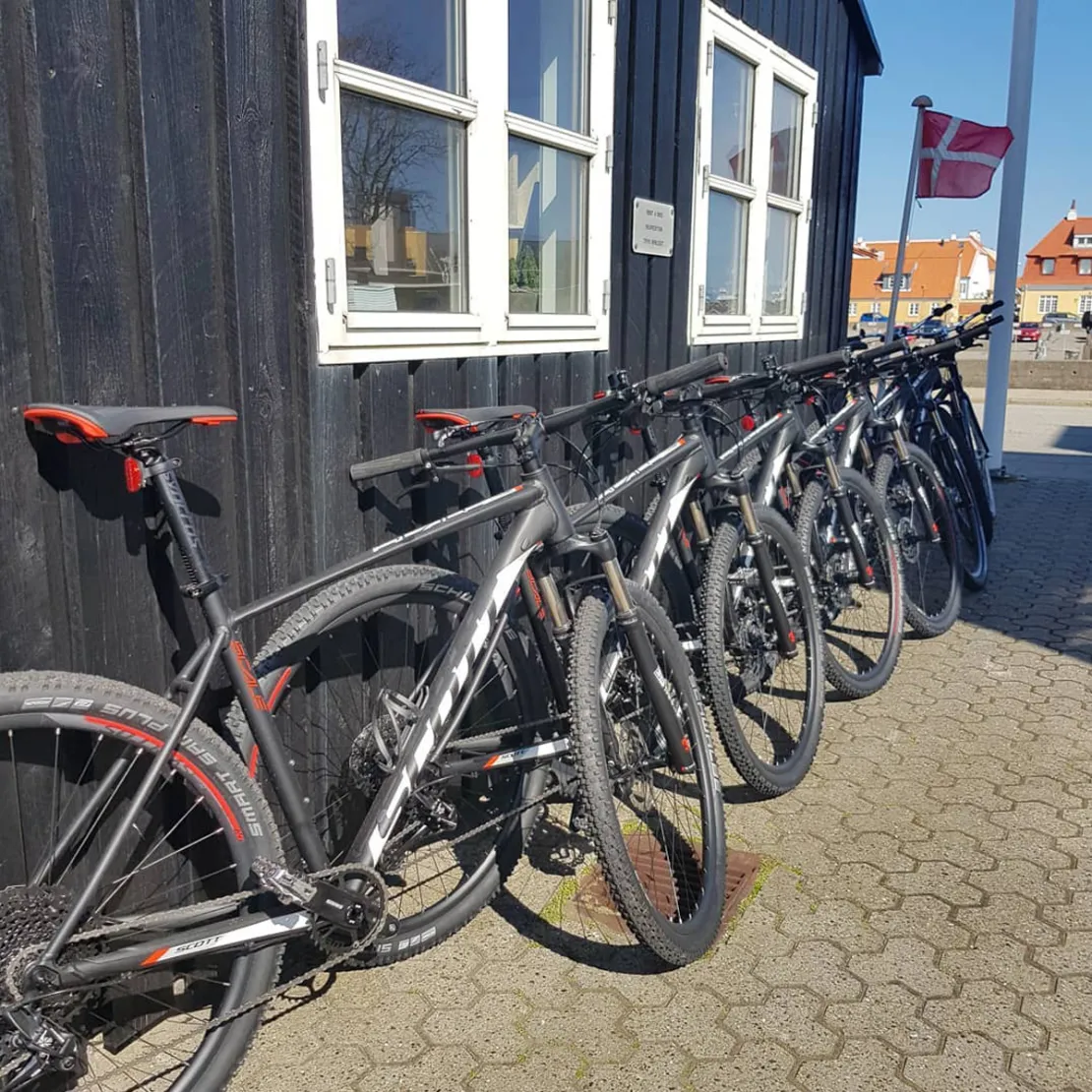 Skagen Bike Rental