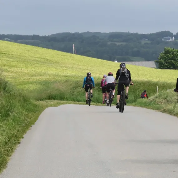 Cykelruter ved Frederikshavn