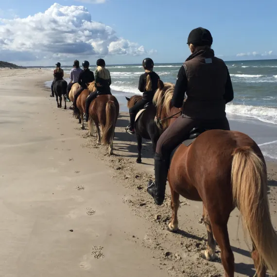 Langagergaard - hesteudlejning nær Skagen