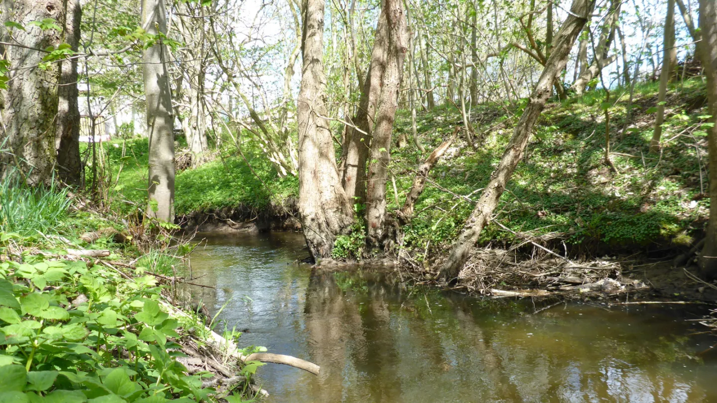 Åsted Ådal i Frederikshavn