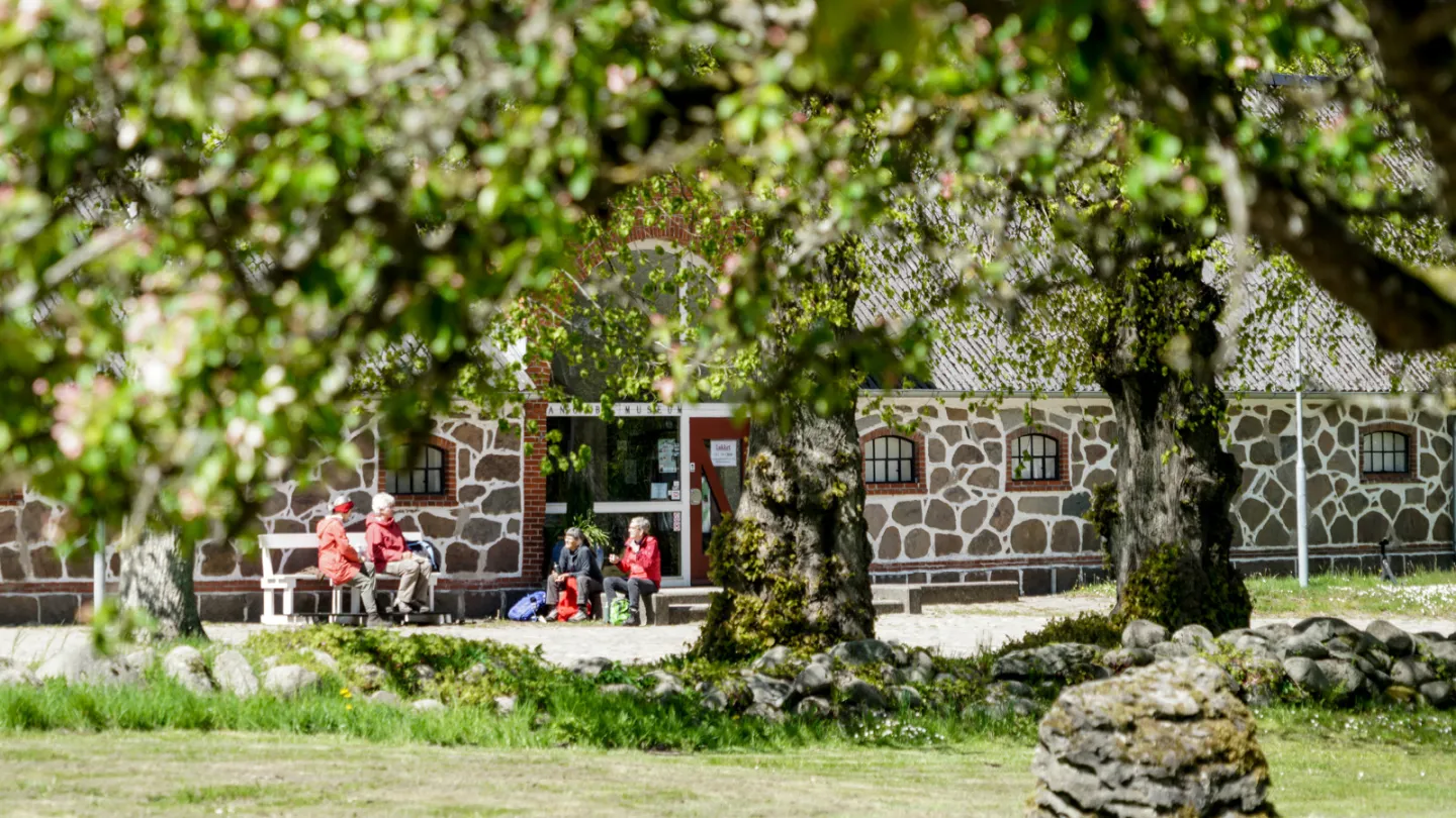 Bangsbo Museum med grønt løv