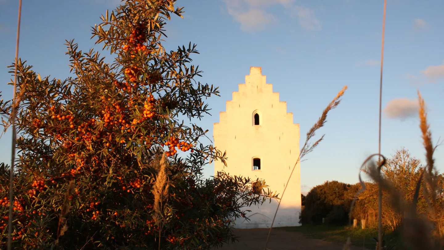 Den Tilsandede Kirke i sensommerfarver