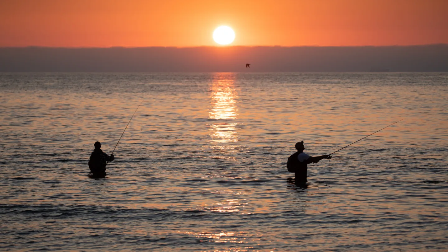 Fiskeri i Toppen af Danmark