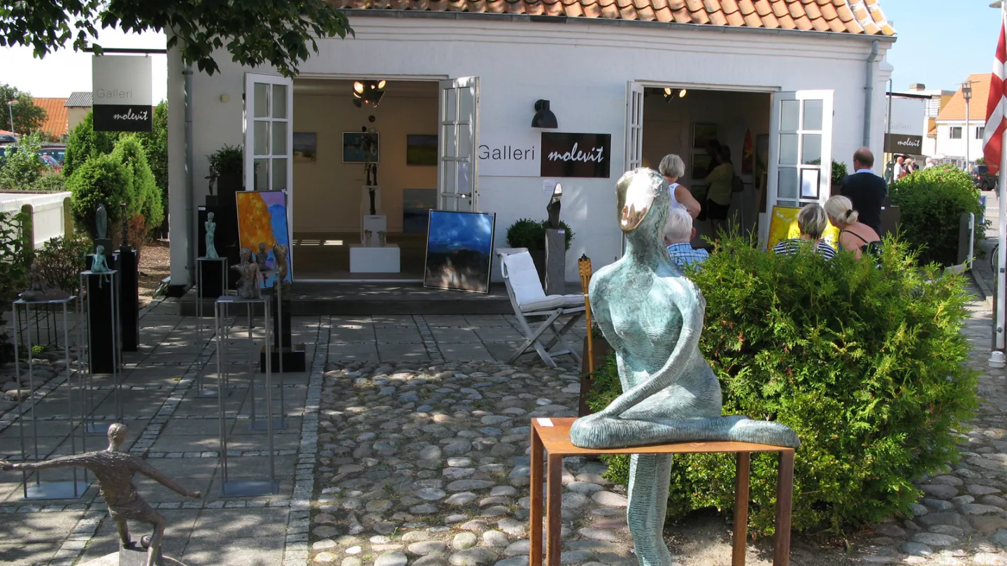 Galleri Molevit i Skagen