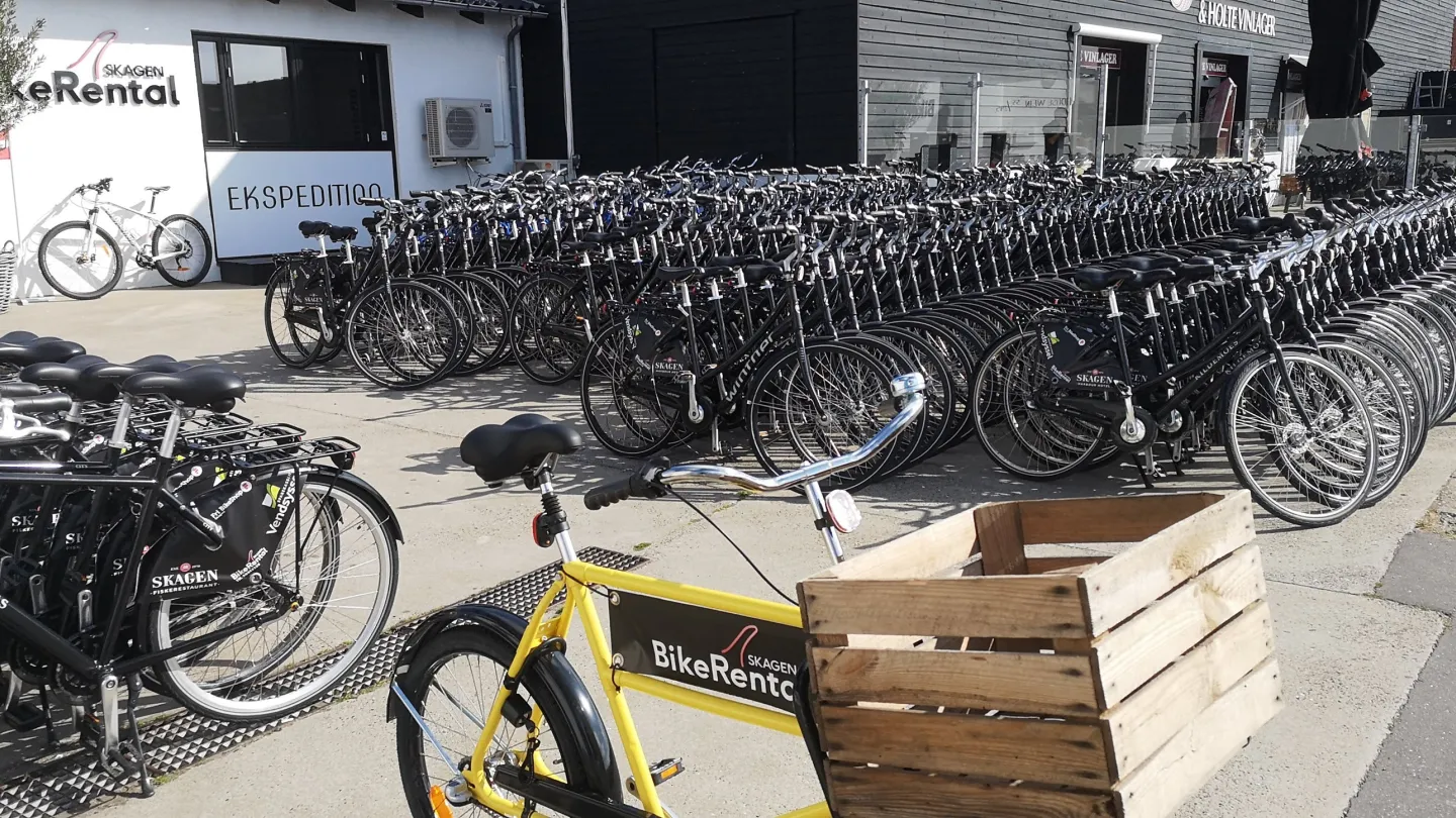 Skagen Bike Rental