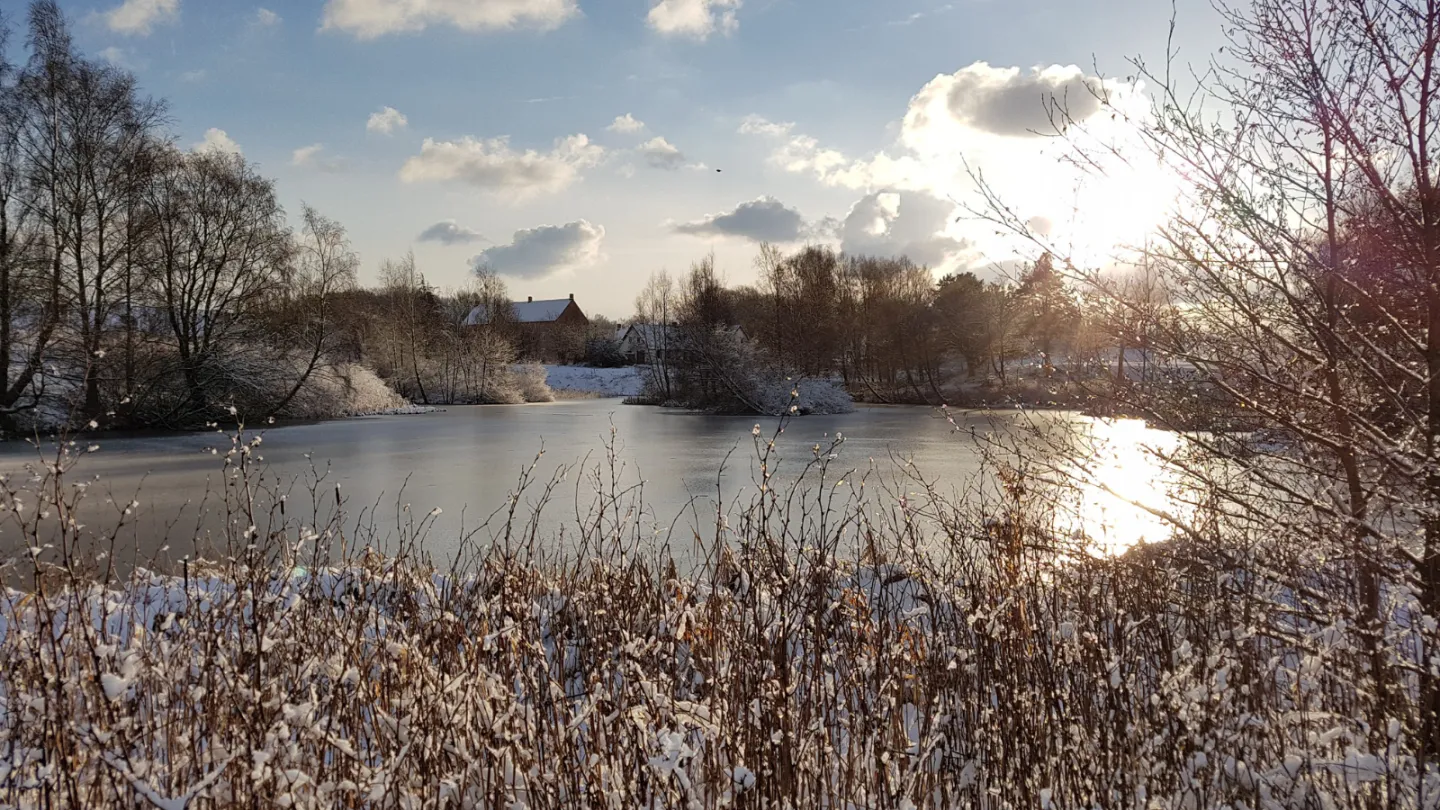 Vinter i Sæby