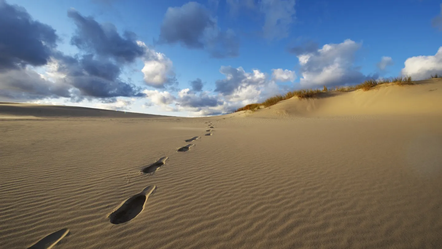 Råbjerg Mile ved Skagen