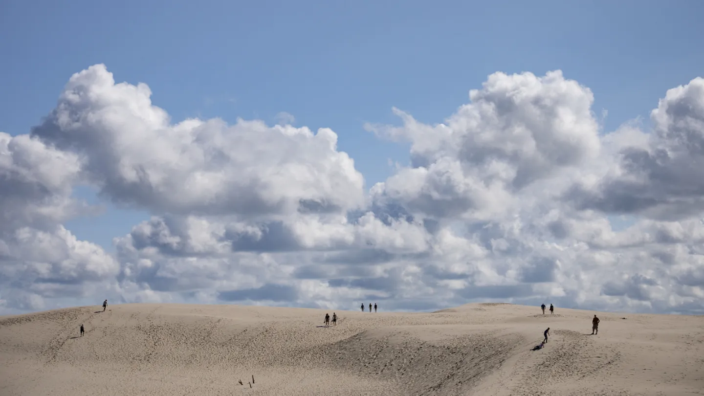 Råbjerg Mile tæt ved Skagen