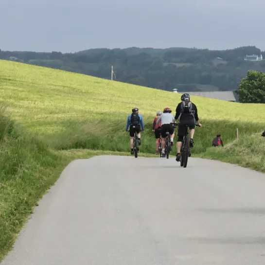 Bicycle routes at Frederikshavn