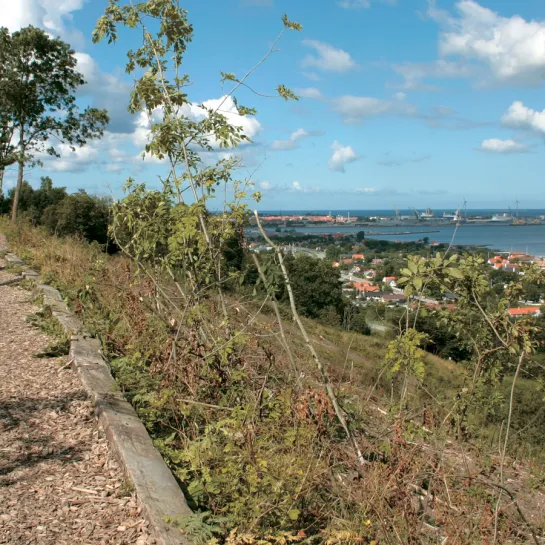 Dronningestien ved Frederikshavn