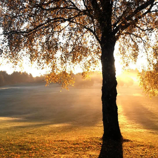 Herbst und Spätsommer in Sæby