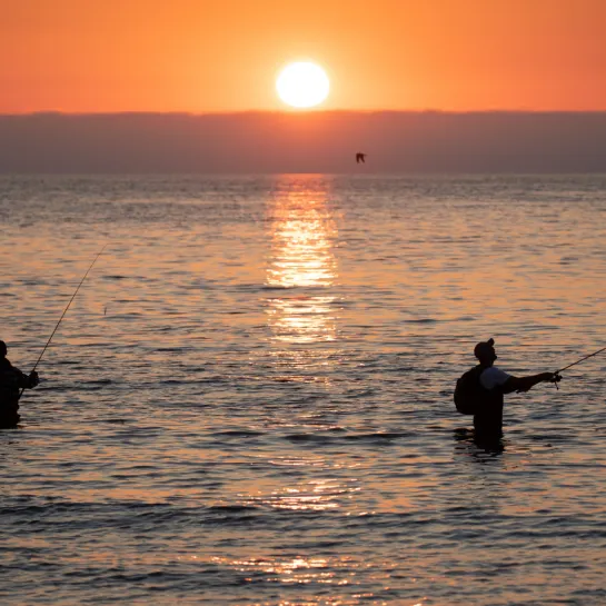 Fiskeri i Toppen af Danmark