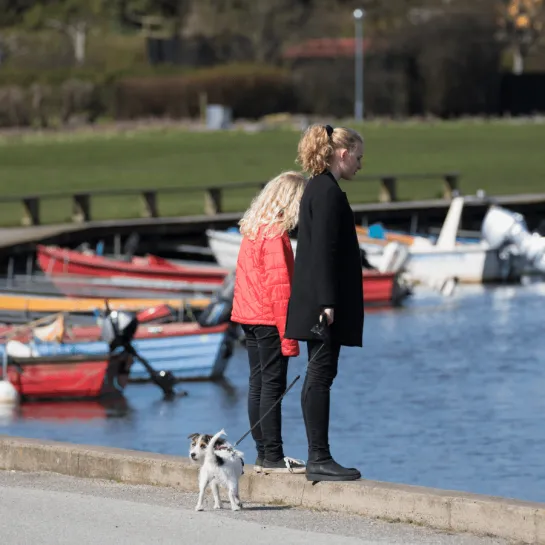 Frühling in Sæby