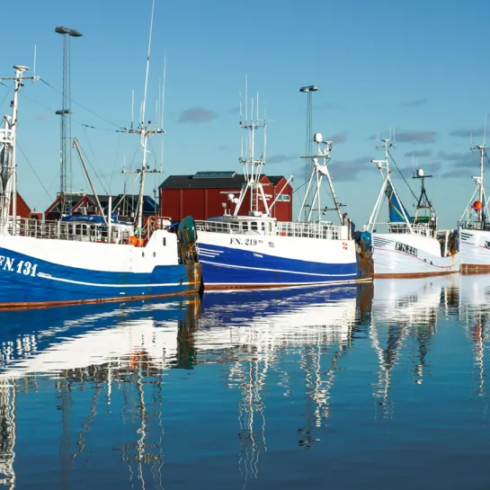 Strandby Havn en klar dag