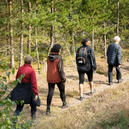 Wanderpfade an der Spitze von Dänemark