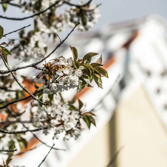 Lej feriebolig i Toppen af Danmark